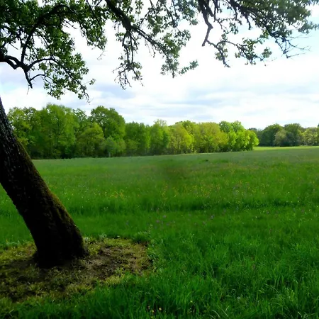 Maison Lumineuse Et Calme Pres De Avec Wifi Et Animaux Acceptes - Fr-1-616-448 Holiday home *